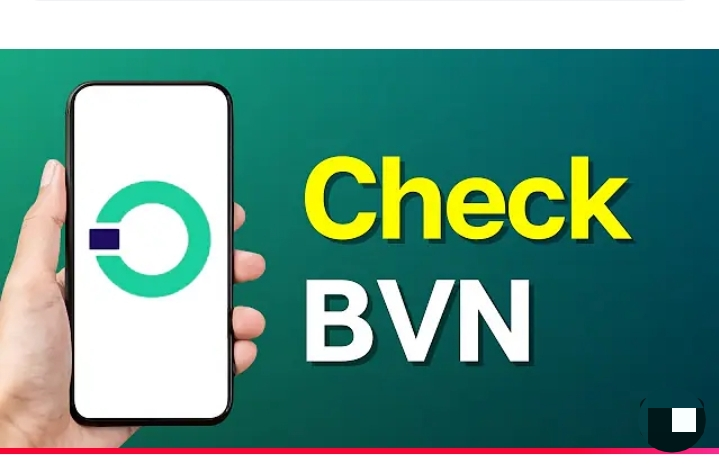 This is How to Check Your BVN on the OPay App in 2025
