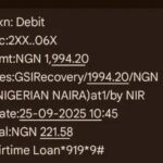 GSI recovery debit alert