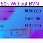 Which Loan Apps Give 50000 Instantly Without BVN