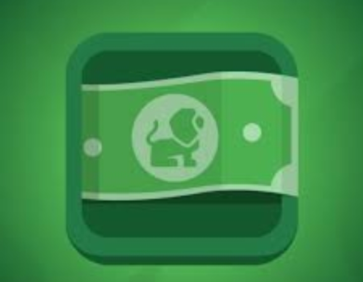 singacash loan app
